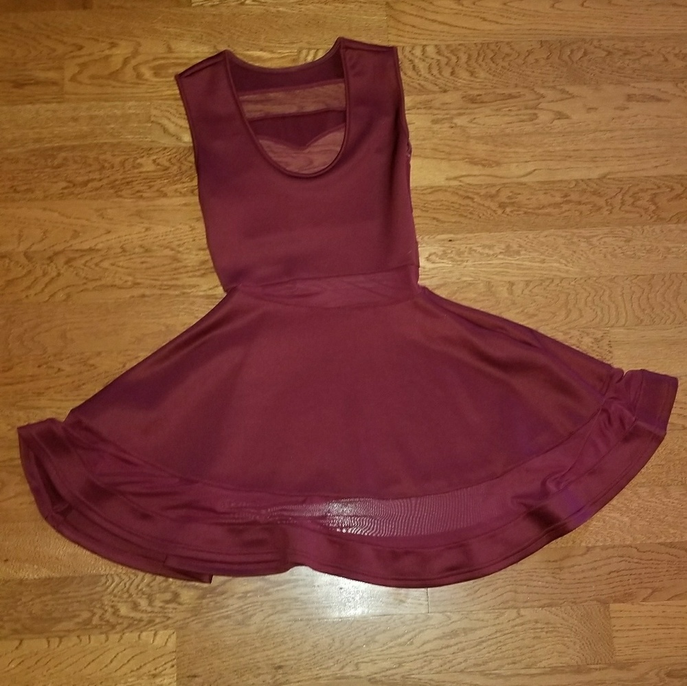 Mesh Skater Dress - Picture 2 of 6